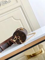 Louis Vuitton M57835 Papillon Trunk - Image 6