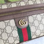 GUCCI Ophidia GG belt bag - Image 6