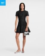 Louis Vuitton M26097 VANITY CHAIN POUCH - Image 6