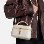 Saint Laurent GABY vanity bag in lambskin