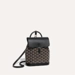 Goyard Alpin Mini Backpack - Image 12