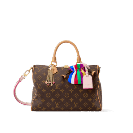 Louis Vuitton M26498 Speedy Soft 30