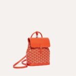 Goyard Alpin Mini Backpack - Image 15