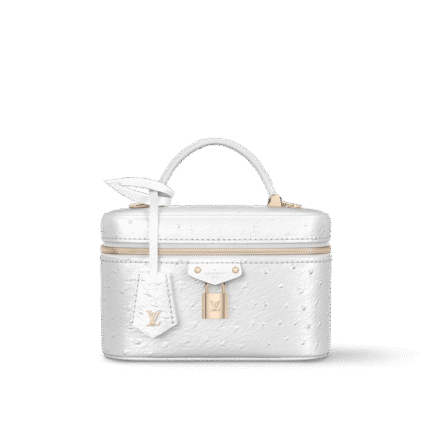 Louis Vuitton N85911 Vanity Chain Pouch