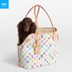 Louis Vuitton M27839 LV x TM Neverwoof - Image 12