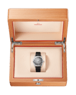 OMEGA Seamaster Railmaster - Image 5