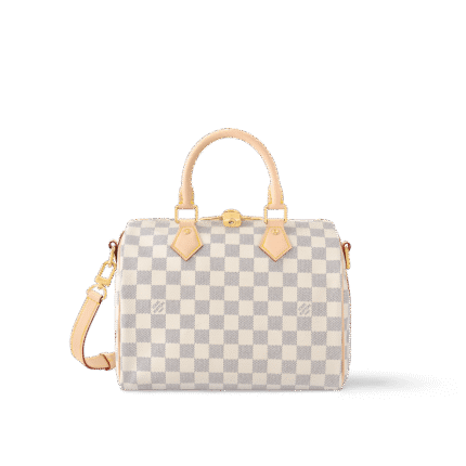 Louis Vuitton N40608 Speedy Bandoulière 25