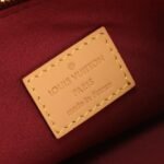 Louis Vuitton CARRYALL MM M46197 - Image 6