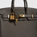 Hermès Birkin 25 Togo Eucalyptus Gold Hardware - Image 6
