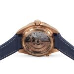 OMEGA Seamaster Planet Ocean 600M - Image 4