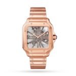 Santos de Cartier Skeleton