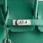 Hermès Birkin 25 Togo Vert Vertigo Palladium Hardware - Image 8