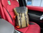 Louis Vuitton Backpack
